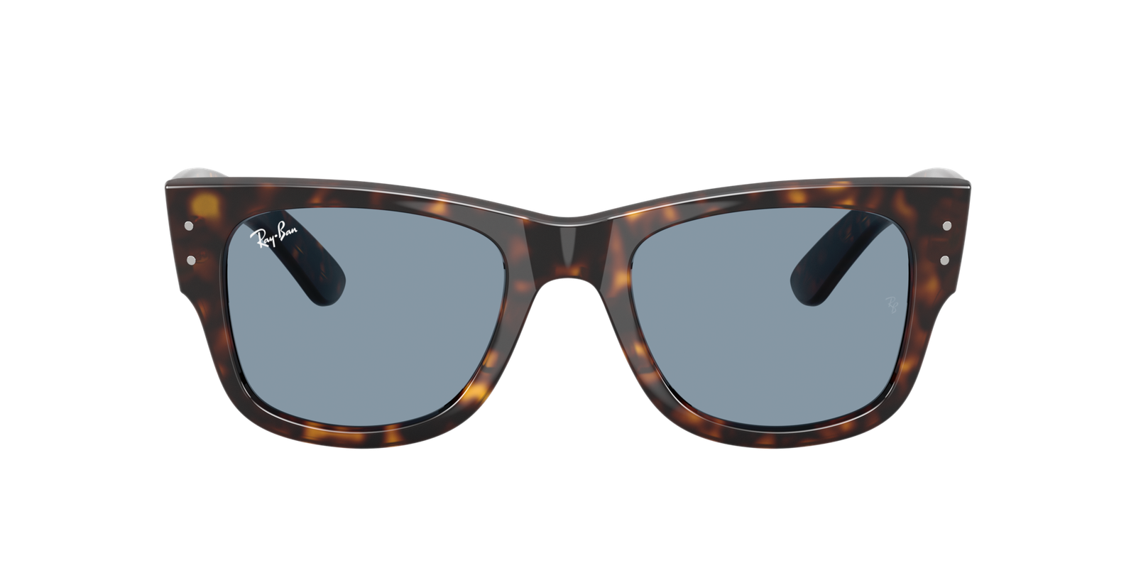 Ray-Ban Mega Wayfarer 0RB0840S